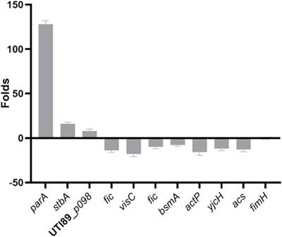 Plasmid parB contributes to uropathogenic Escherichia coli colonization in vivo by acting on biofilm formation and global gene regulation